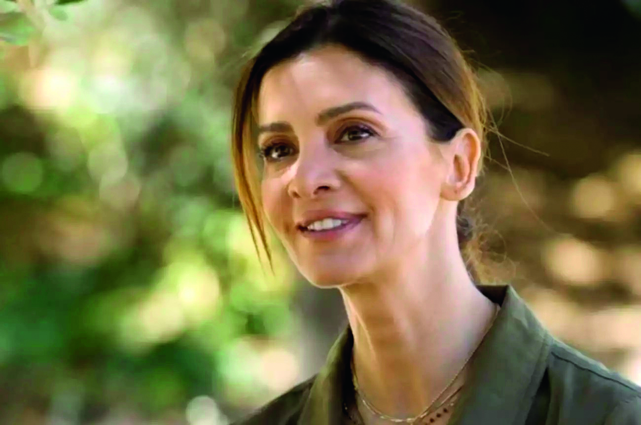 Οι μίνι σειρές που έρχονται σε ERTFLIX και ΕΡΤ1-3