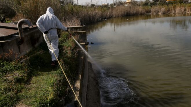 ιός-δυτικού-νείλου-δέκα-νέα-κρούσματα-563742466