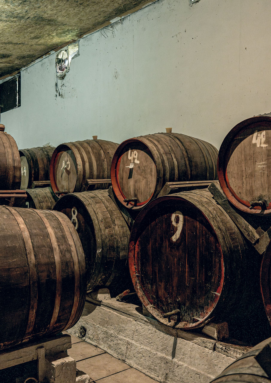 Ρωμέικο: Το ξεχασμένο σταφύλι από την Κρήτη αναγεννάται-4