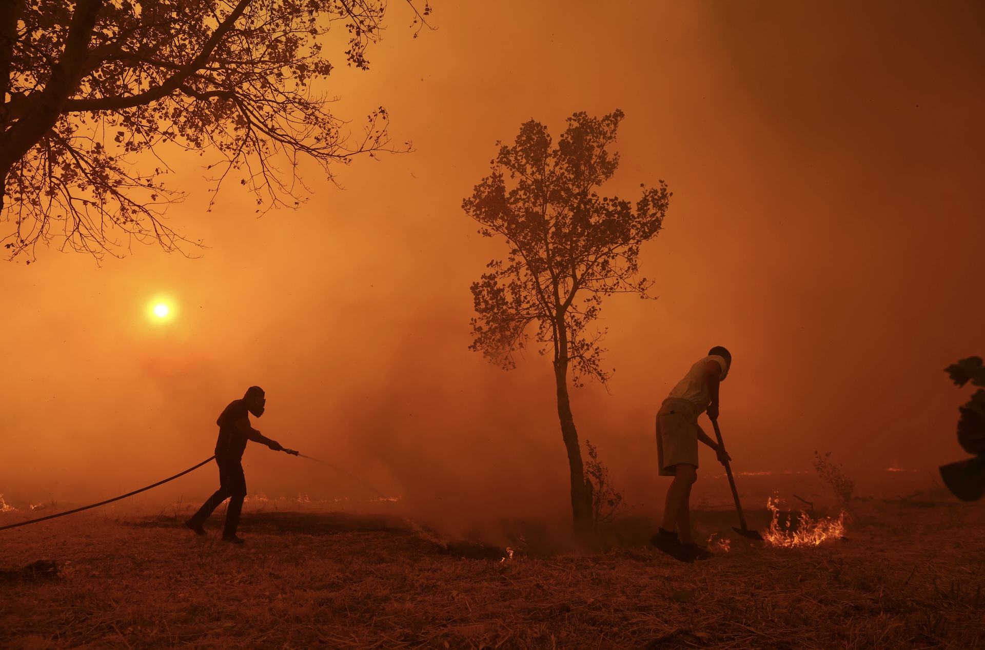 Εικόνες αποκάλυψης από τα πύρινα μέτωπα – Κάηκαν σπίτια, στάχτη δάση και καλλιέργειες-1