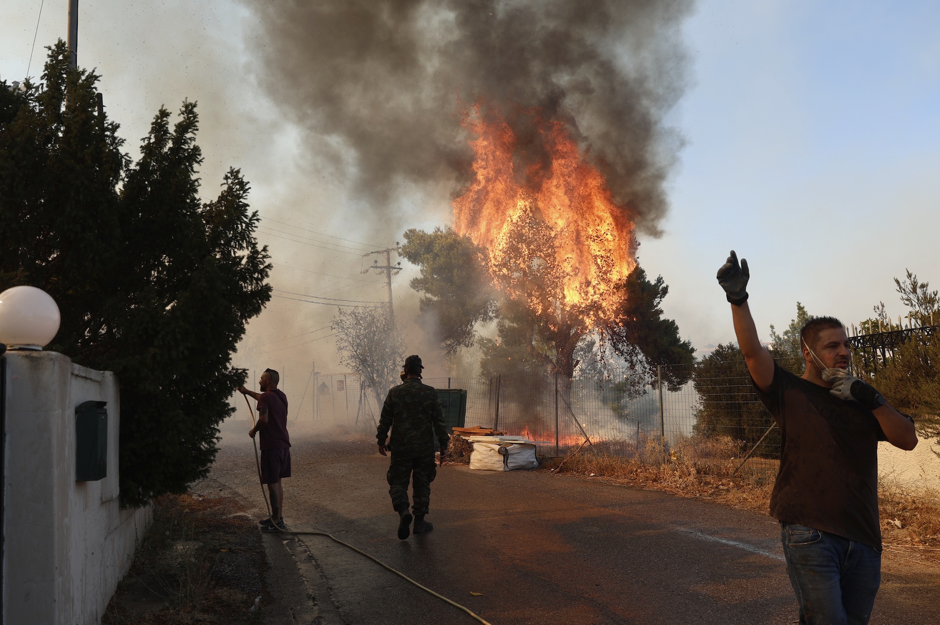 Εικόνες αποκάλυψης από τα πύρινα μέτωπα – Κάηκαν σπίτια, στάχτη δάση και καλλιέργειες-5