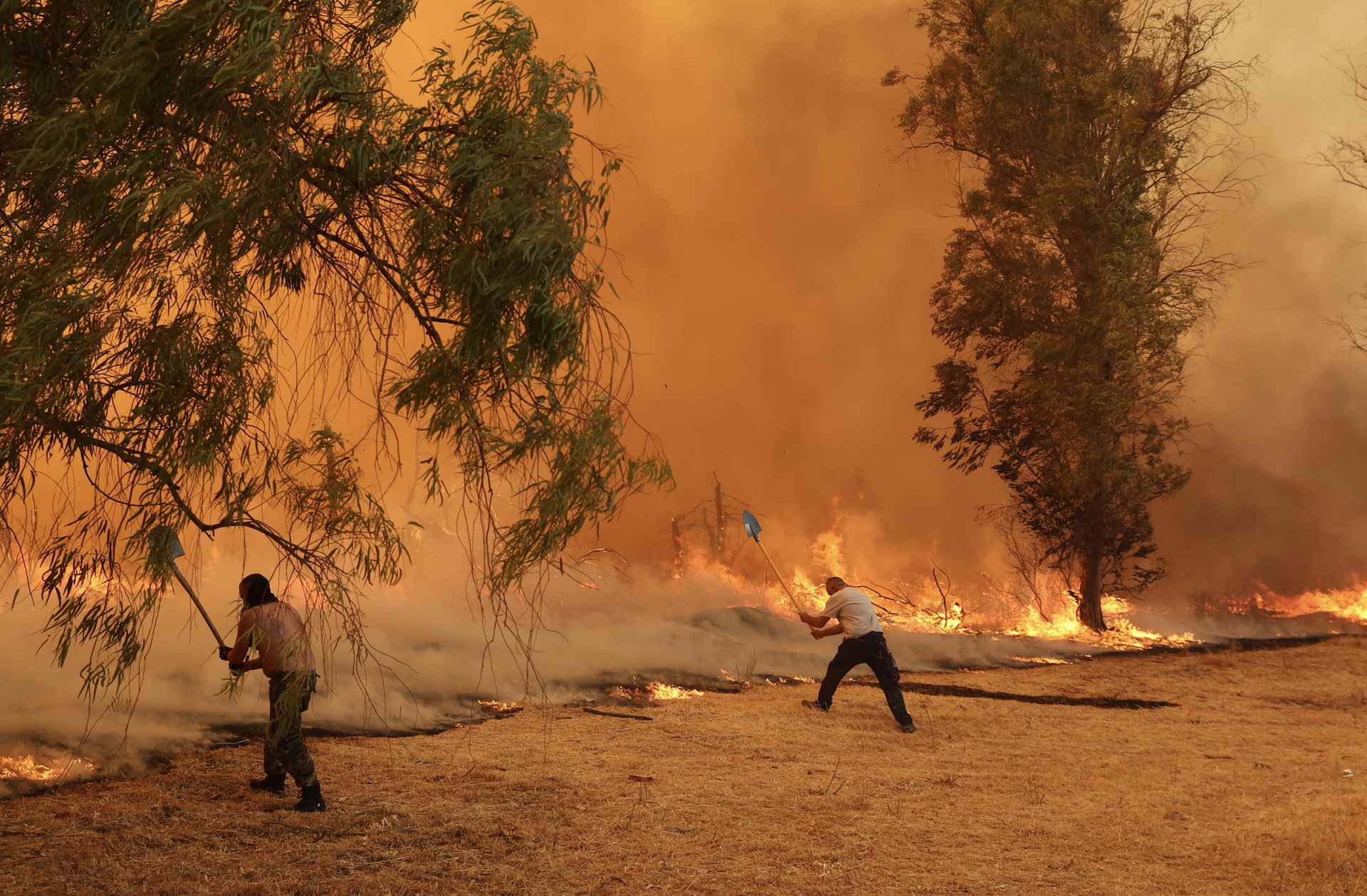 Εικόνες αποκάλυψης από τα πύρινα μέτωπα – Κάηκαν σπίτια, στάχτη δάση και καλλιέργειες-2