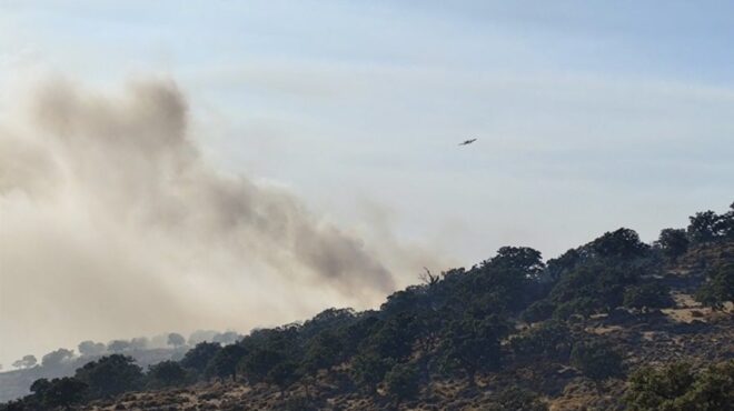 μεγάλη-φωτιά-στη-λέσβο-μάχη-και-με-το-563716336