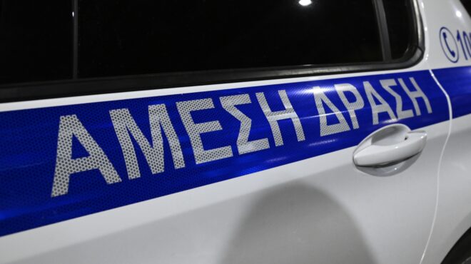 ρέθυμνο-πάνω-από-800-δενδρύλλια-ινδικής-563718463