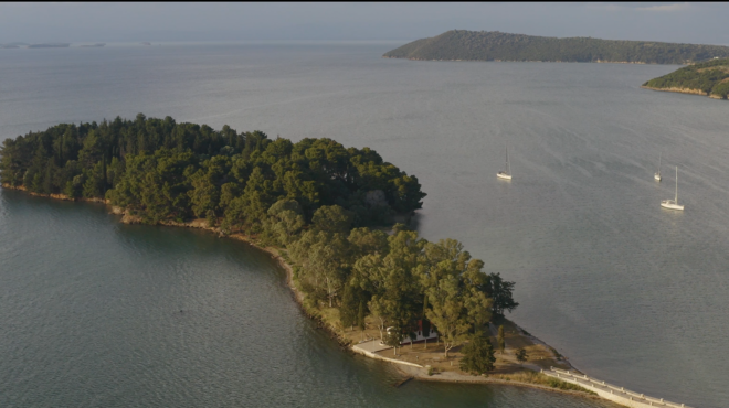 συμμαχία-για-τα-θαλάσσια-λιβάδια-του-α-563694379