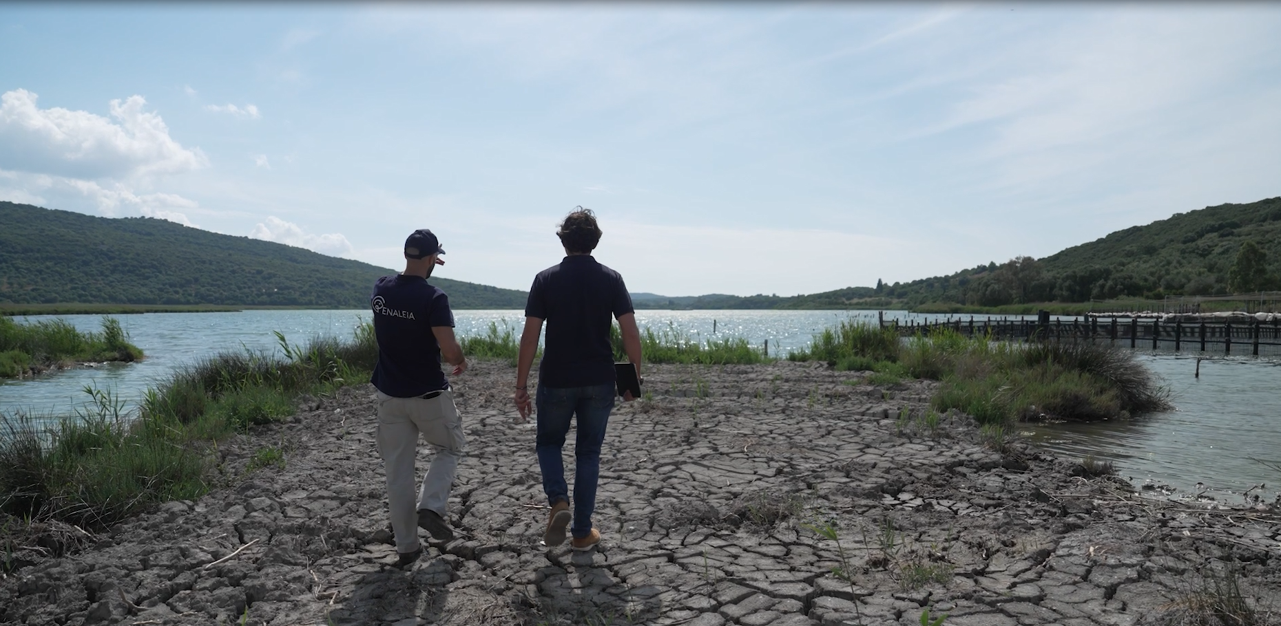 Συμμαχία για τα θαλάσσια λιβάδια του Αμβρακικού-1
