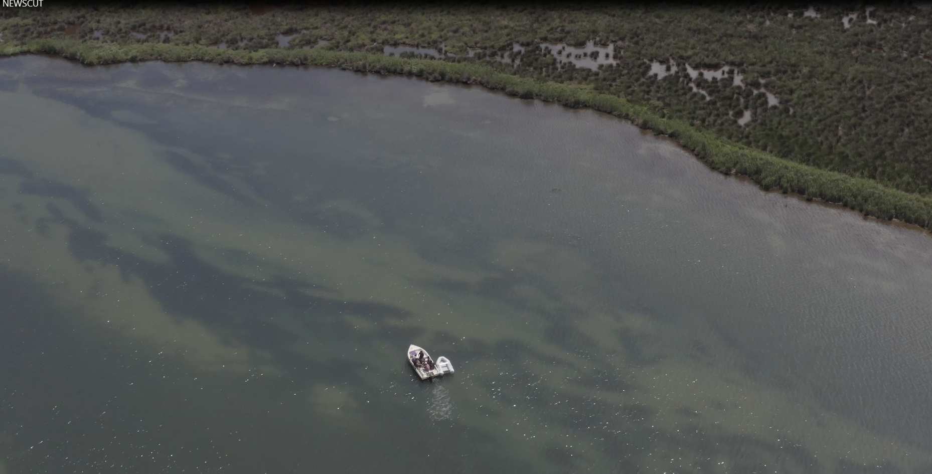 Συμμαχία για τα θαλάσσια λιβάδια του Αμβρακικού-3