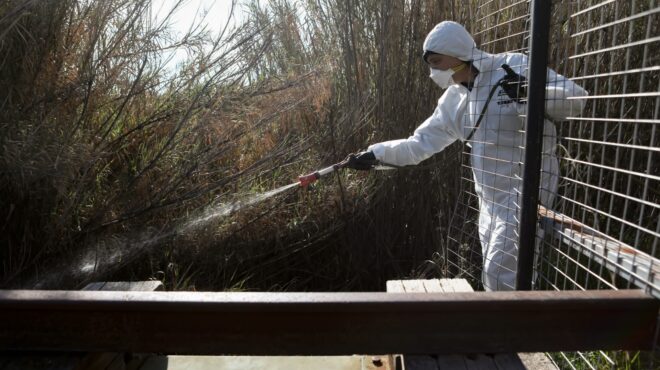εοδυ-τέσσερα-κρούσματα-του-ιού-του-δυτ-563706424