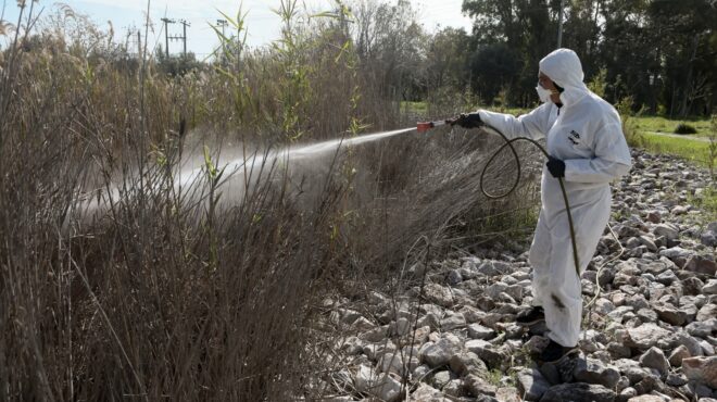 ιός-δυτικού-νείλου-τρία-νέα-κρούσματα-563730586