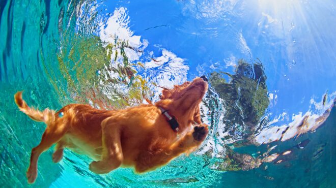 τι-προβλέπει-ο-νόμος-για-τα-μπάνια-του-σ-563715991