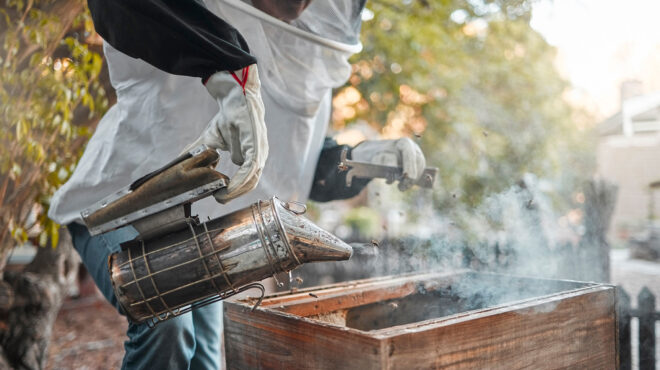 αλυκή-βοιωτίας-συνελήφθη-55χρονος-μελι-563701369