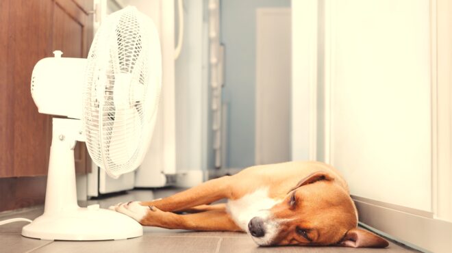 καύσωνας-και-στο-σπίτι-εως-και-του-563734180