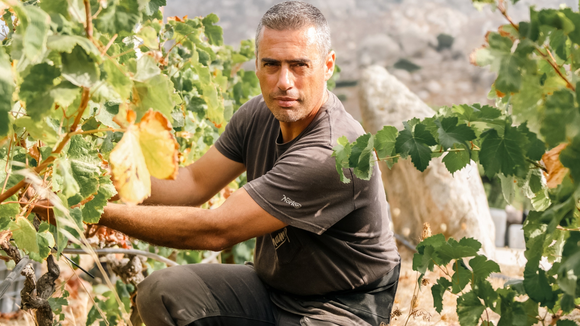 «Ανθρώπων Εργα»: Εκθεση φωτογραφίας της Εβελυν Φωσκόλου για τους αφανείς δημιουργούς της Τήνου-1