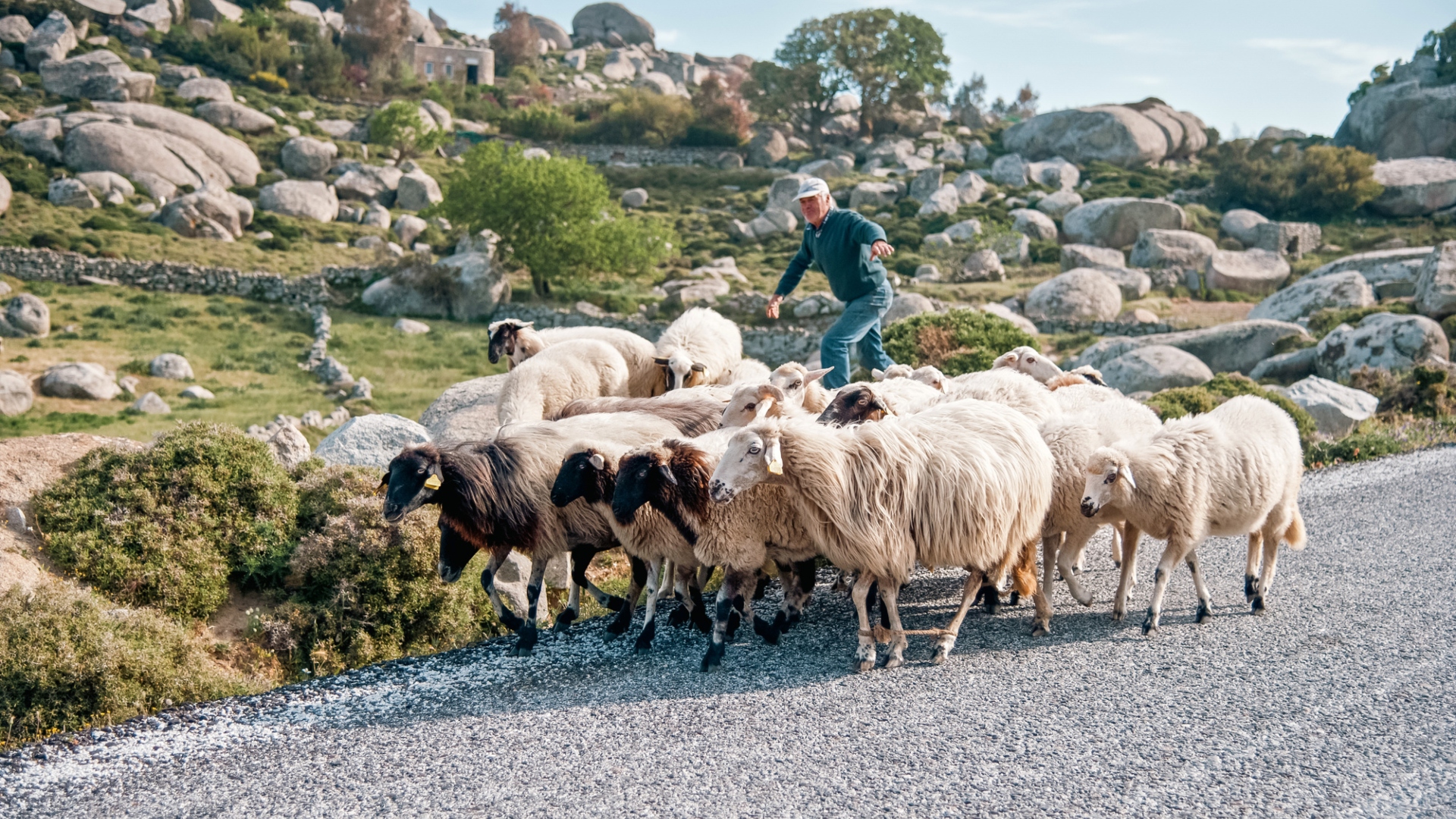 «Ανθρώπων Εργα»: Εκθεση φωτογραφίας της Εβελυν Φωσκόλου για τους αφανείς δημιουργούς της Τήνου-2
