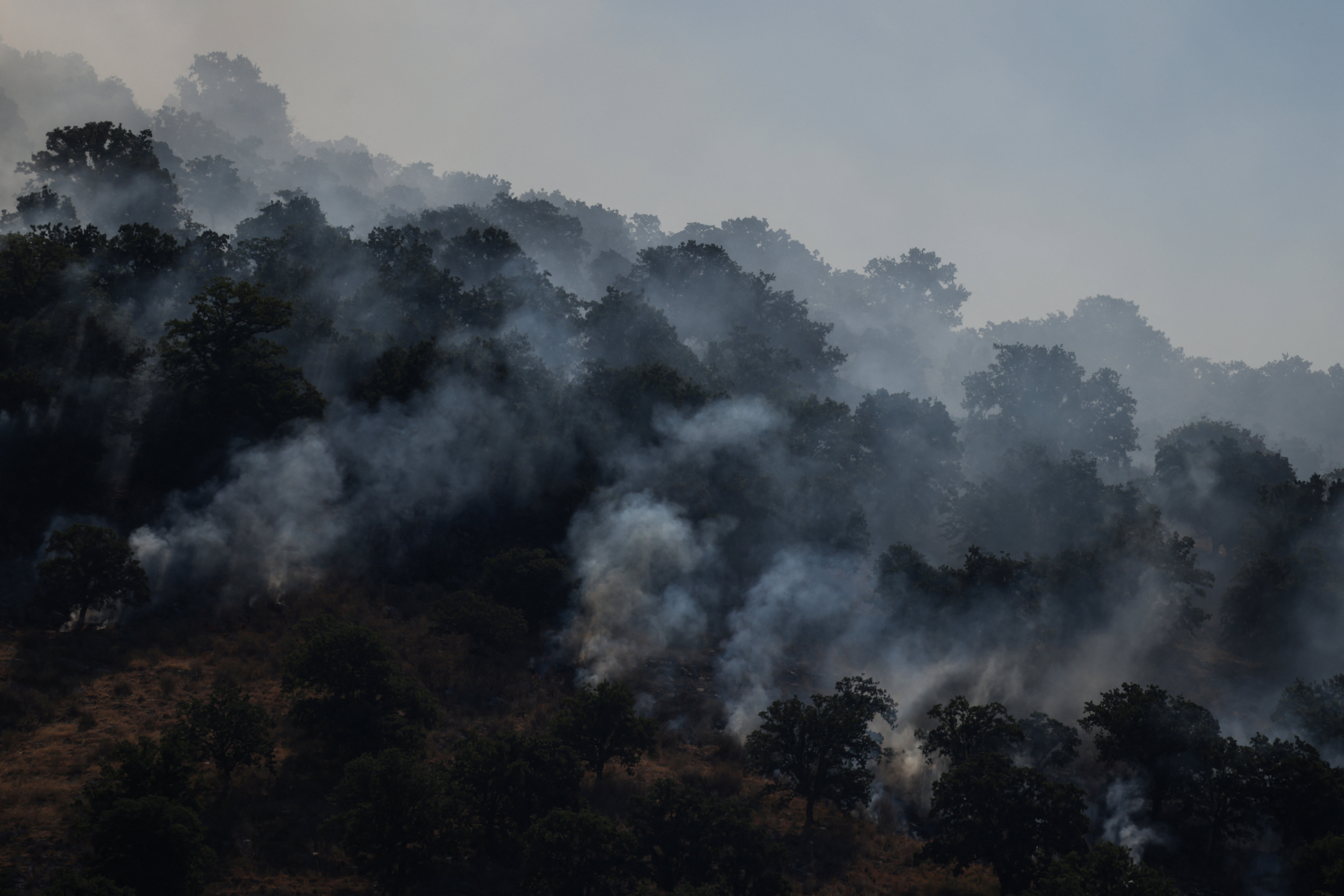 Μάχη με τις φλόγες σε Τουρκία και Αλβανία έπειτα από μέρες καύσωνα-1