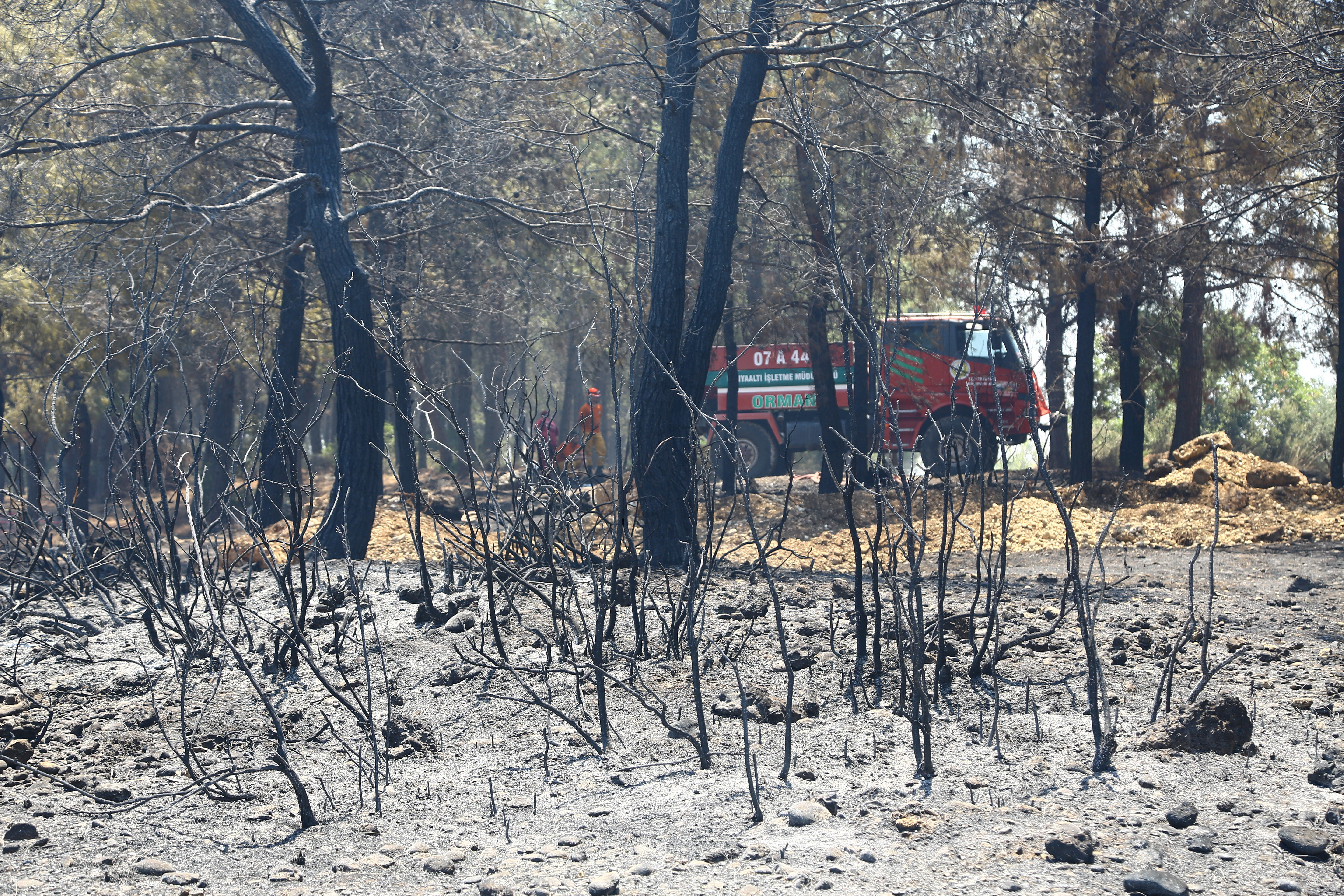 Πύρινος εφιάλτης στην Τουρκία – Χιλιάδες άνθρωποι απομακρύνονται από τα σπίτια τους (Εικόνες)-2