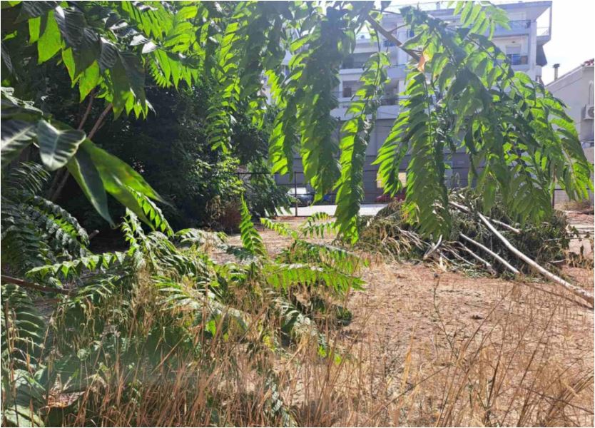 Γυναικοκτονία στον Βόλο: Βίντεο – ντοκουμέντο από τη σύλληψη του 40χρονου-1