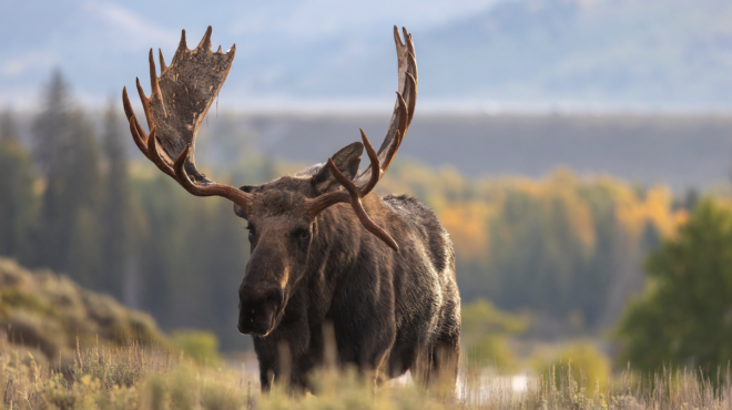 φινλανδία-η-πρωτόγνωρη-ζέστη-αποδεκα-563750980