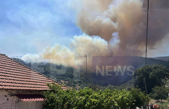 φωτιά-στα-πετράλωνα-μεσσηνίας-112-για-ε-563759218