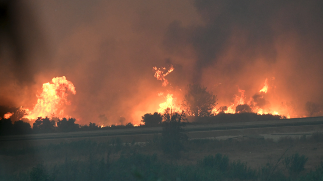 αχαΐα-ειδική-πλατφόρμα-για-τη-διαμονή-563761096