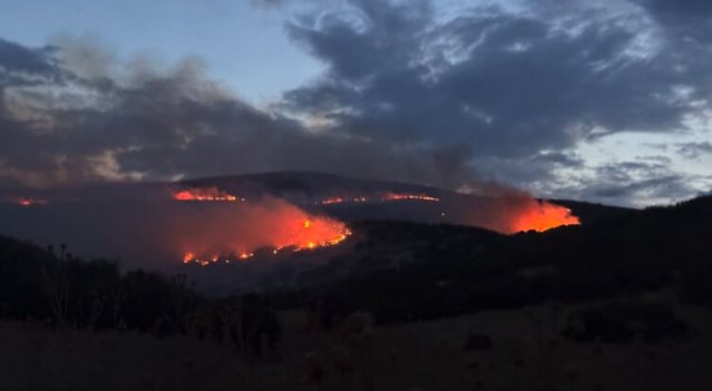 σε-πλήρη-εξέλιξη-η-φωτιά-στο-αμύγδαλο-τ-563769214