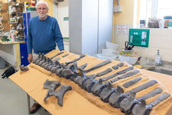 Ενας άγνωστος δεινόσαυρος «κρυβόταν» στο Μουσείο του Λονδίνου για 40 χρόνια-1