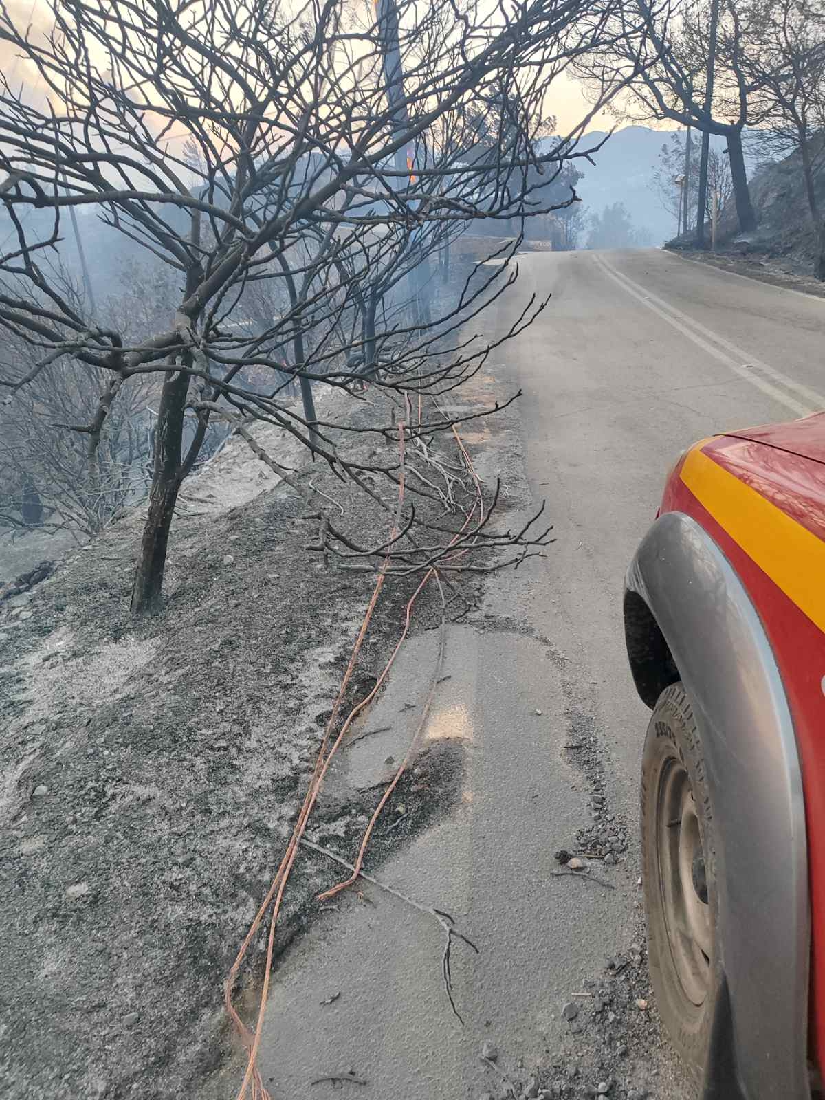 Φωτιά στη Χίο: «Το νησί είναι αθωράκιστο από τη μία άκρη έως την άλλη»-3