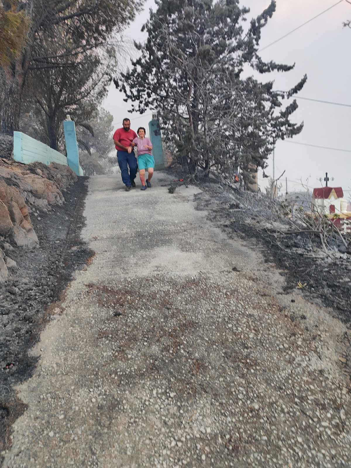 Φωτιά στη Χίο: «Το νησί είναι αθωράκιστο από τη μία άκρη έως την άλλη»-1