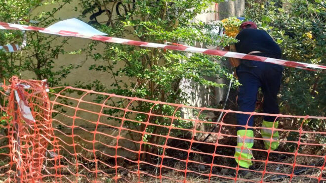 δήμος-αθηναίων-καταγγελία-για-παράνο-563778073