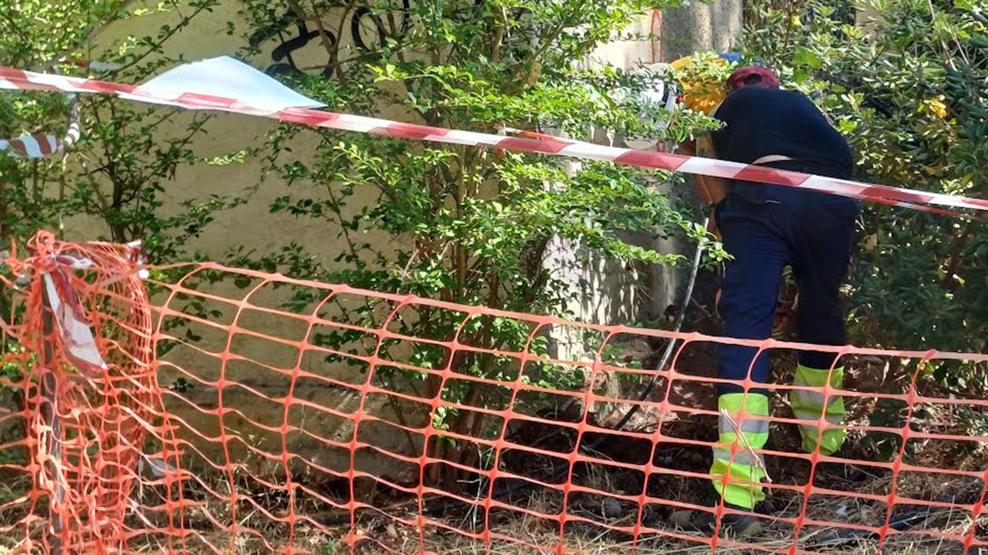 Αλσος Χωροφυλακής: Εντοπίστηκαν και άλλα οστά ζώων συντροφιάς – Αυτοψία της «Κ»-1