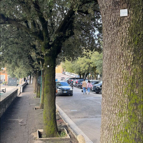 ινσταγκραμικές-ευχές-563777767