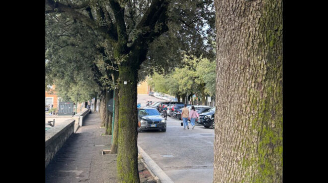 ινσταγκραμικές-ευχές-563777767