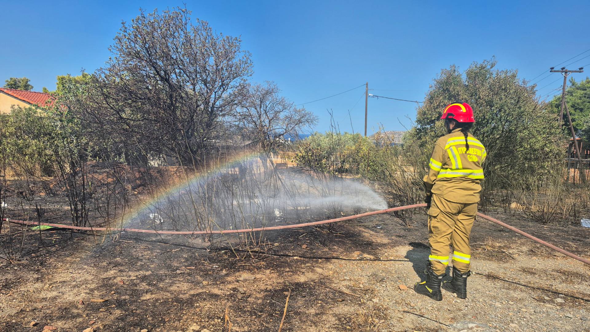 Οδοιπορικό της «Κ» στην ανατολική Αττική: «Εδώ κάναμε βόλτες και τώρα κλαίει η καρδιά μου»-5