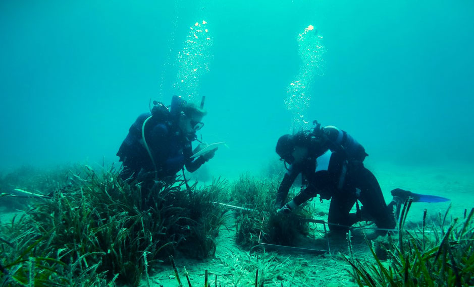 Φυτεύοντας υποβρύχιους κήπους στους Λειψούς-3