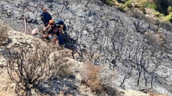 πάτρα-πυροσβέστης-έπεσε-σε-χαράδρα-563765215