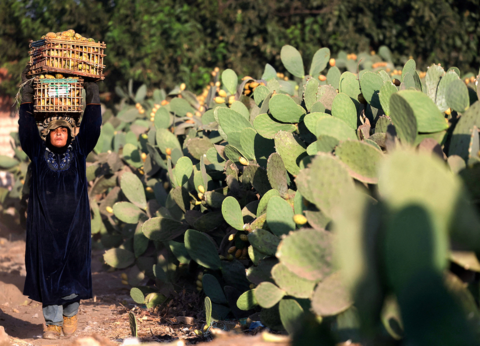 Από τον Μεσαίωνα στο σήμερα-3