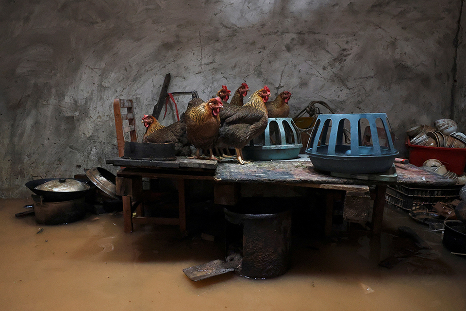 Το βλέμμα είναι κοινό-3