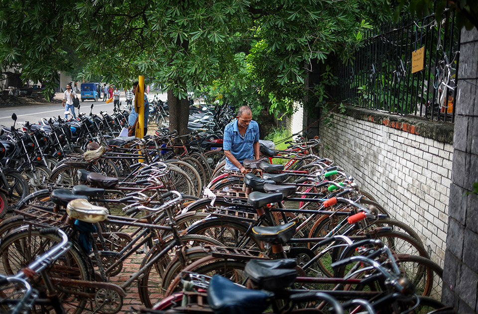 Θεραπευτικά ζώα-3