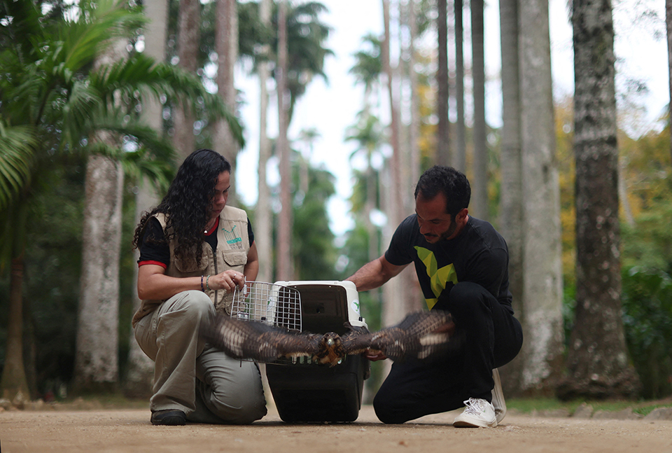 Κοιτώντας ψηλά-2