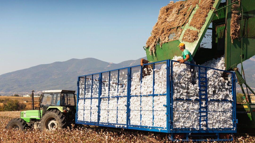 kλιματική-κρίση-οι-καλλιέργειες-μετα-563752063