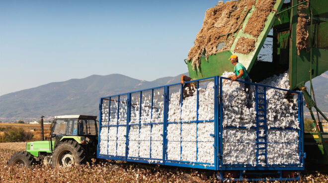 kλιματική-κρίση-οι-καλλιέργειες-μετα-563752063