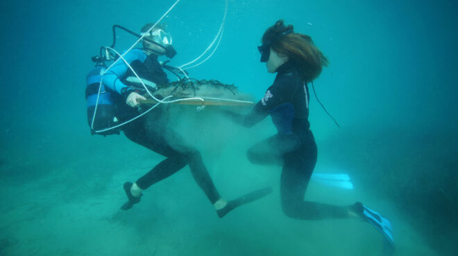 φυτεύοντας-υποβρύχιους-κήπους-στους-563764072