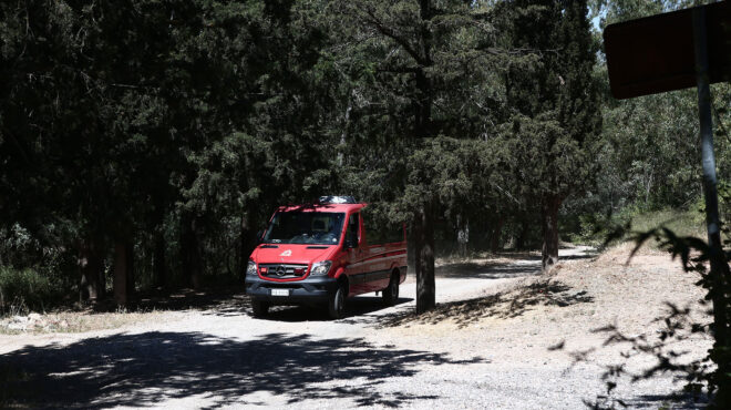 εχει-μπει-η-πόλη-μέσα-στο-δάσος-563745400