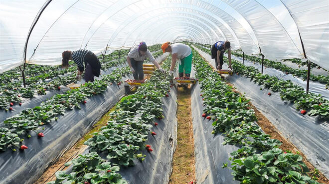 λαγκάρντ-χωρίς-μετανάστες-η-ευρωπαϊκ-563776579