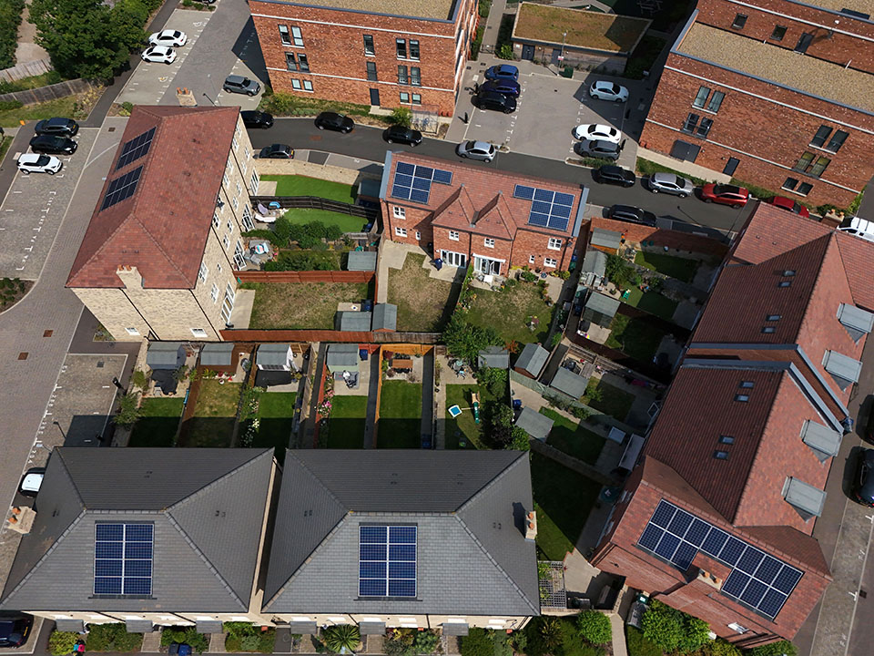 Ελβις με σαντούρι-1