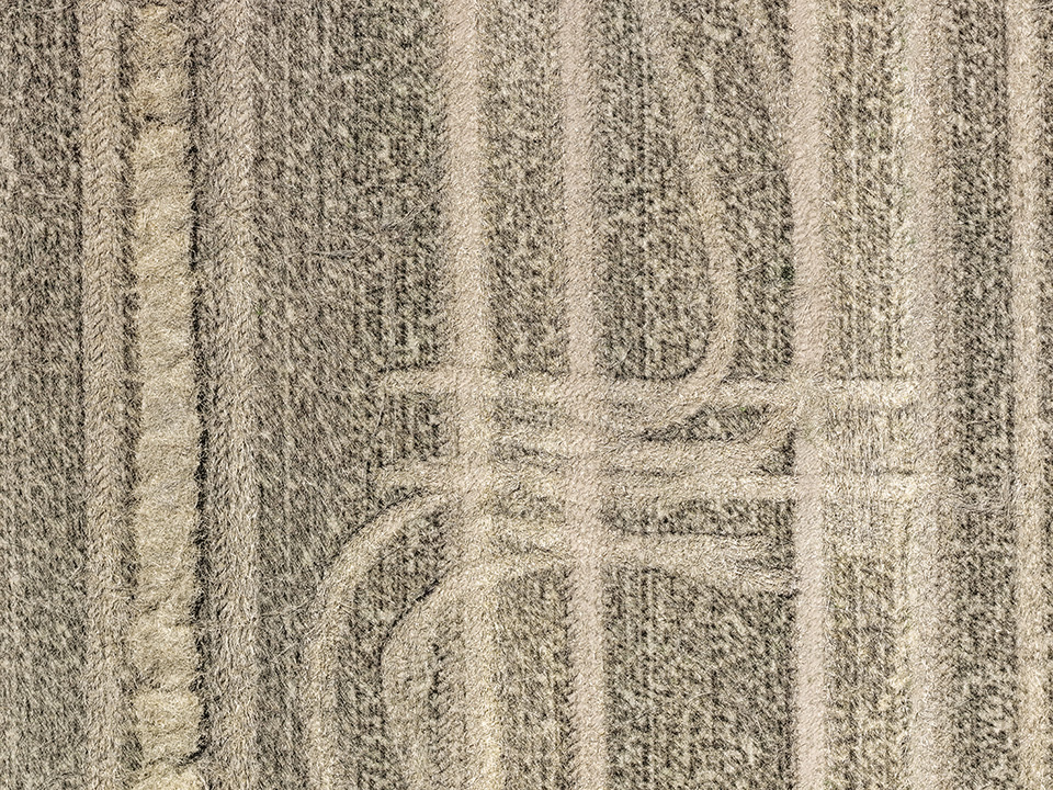 Ημέρα ανεξαρτησίας-3