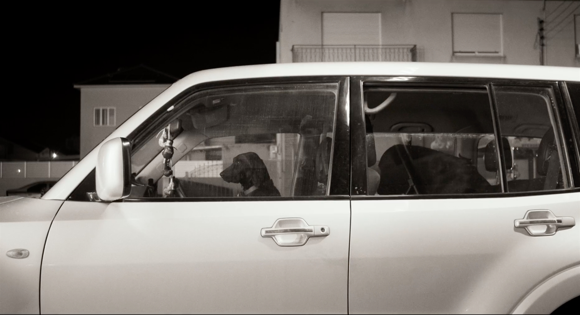 Γκρο πλαν στο Καστελλόριζο-6