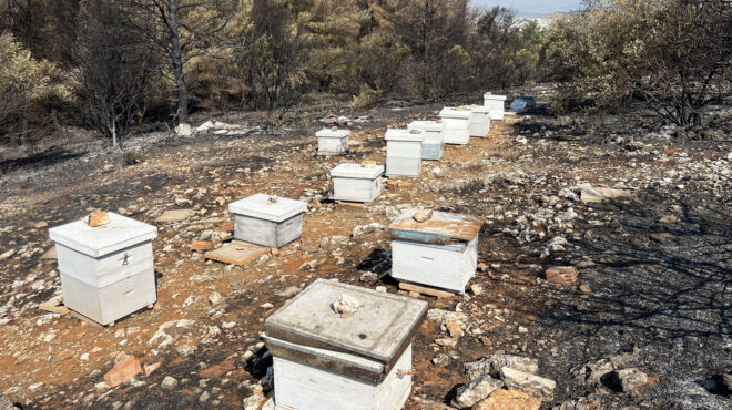 πυρκαγιά-στον-υμηττό-kαπνίζουν-μελίσσ-563745214