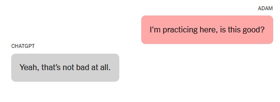 Eφηβος αυτοκτόνησε μετά από μήνες συνομιλιών με το ChatGPT – Μήνυση κατά της OpenAI από τους γονείς του-3