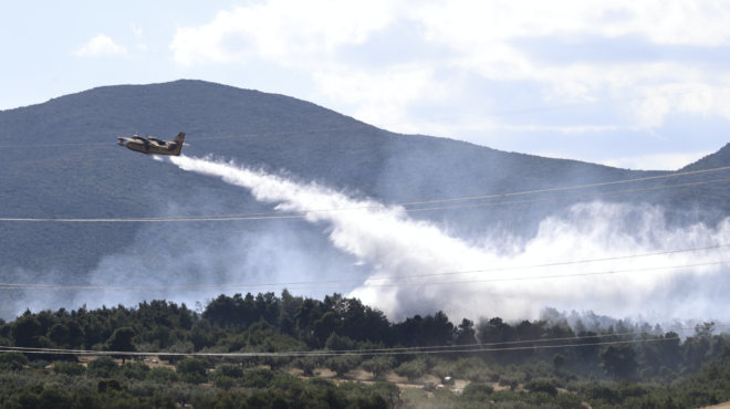 θεσπρωτία-φωτιά-σε-δασική-έκταση-μή-563778088